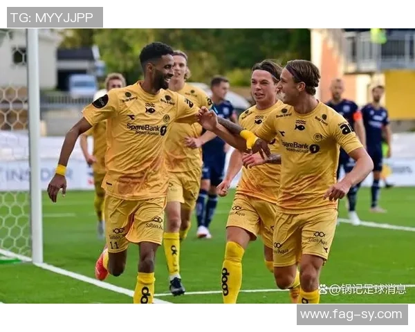 挪威足球队三大球星排名分析及其对球队影响的深度解读